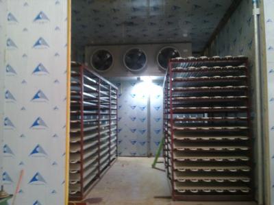 30T螺肉搁架速冻-35℃河池冷库
