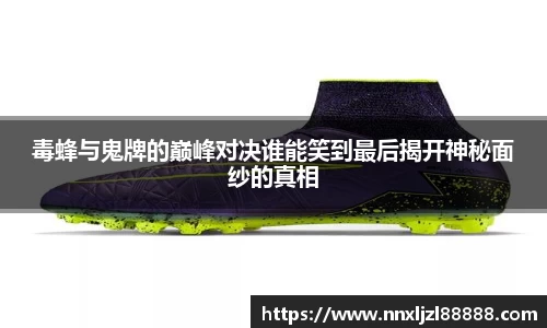 毒蜂与鬼牌的巅峰对决谁能笑到最后揭开神秘面纱的真相